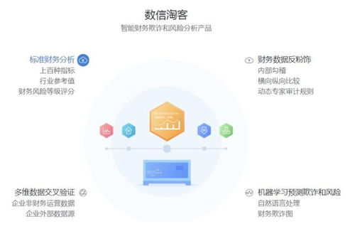 數(shù)行科技 智能財(cái)務(wù)反欺詐和風(fēng)險(xiǎn)分析服務(wù)提供商 監(jiān)管科技案例