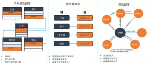 數字化轉型浪潮下，TigerGraph圖技術能否成為數字技術服務新寵兒？